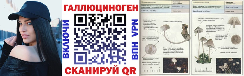Псилоцибиновые грибы мухоморы  Новоалександровск 